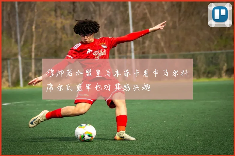 穆帅若加盟皇马本菲卡看中马尔科席尔瓦蓝军也对其感兴趣