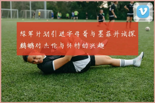 绿军计划引进字母哥与墨菲并试探鹈鹕对杰伦与怀特的兴趣